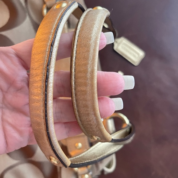 Coach - Picture 7 of 8